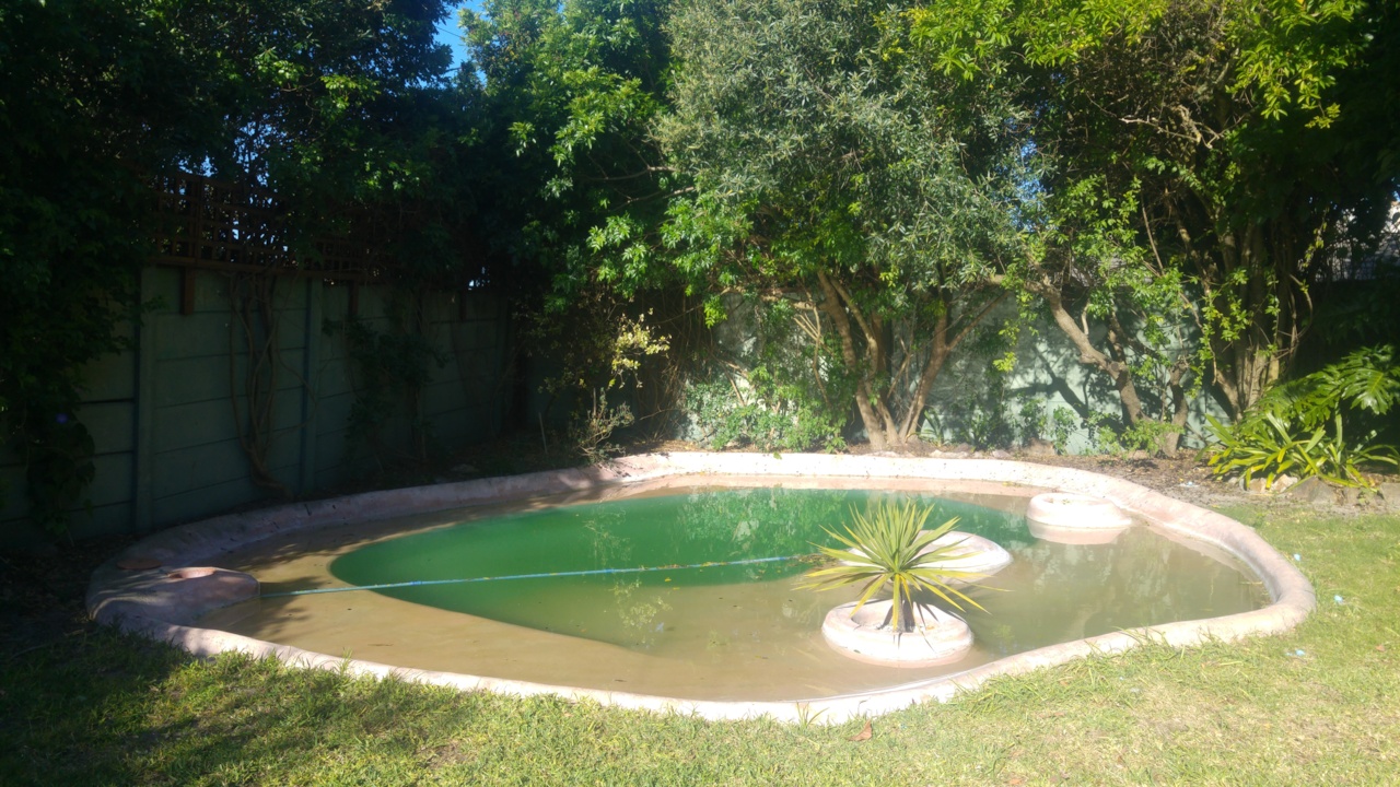 converting pool to pond
